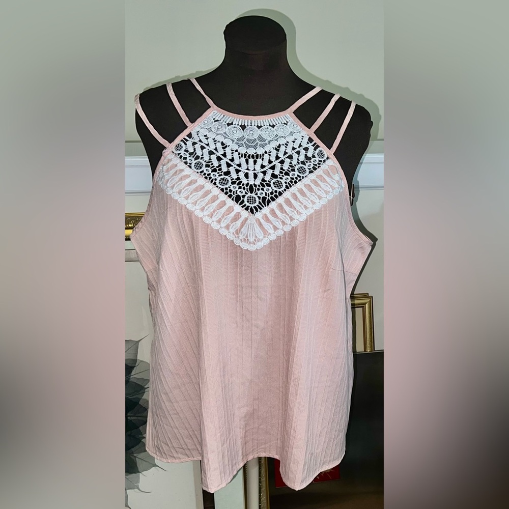 SHEIN LUNE 2XL Dusty Blush Pink Lace Trim Bodice -A-Line